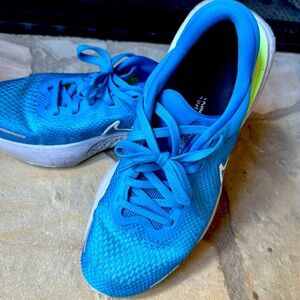 Men’s Nike invincible run